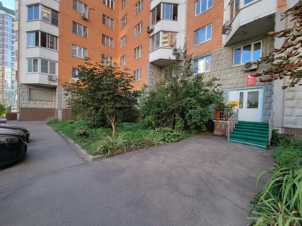 Главная Реамед