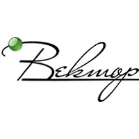 Лого Вектор