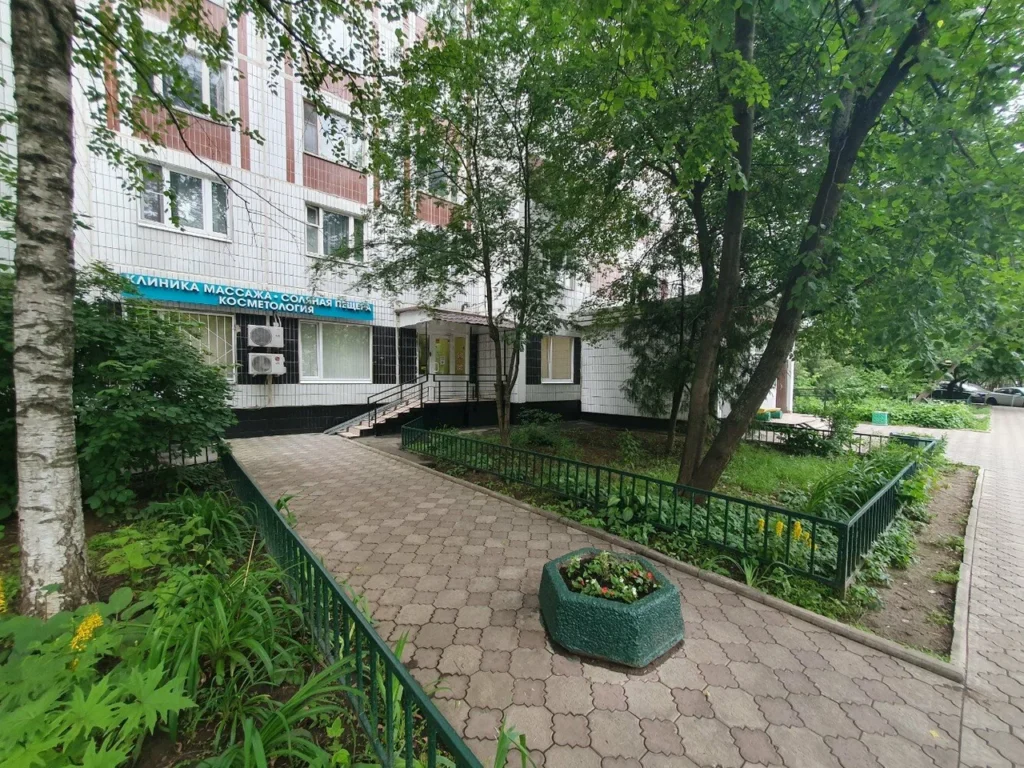 Главная Арифметика тела