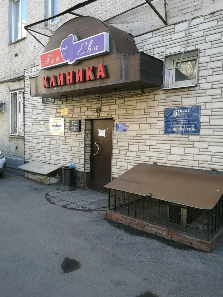 Главная А'ля Ева