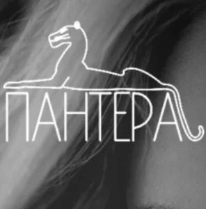 Пантера на Перервинском