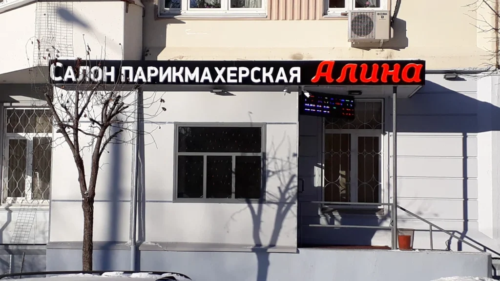 Алина на Черепановых